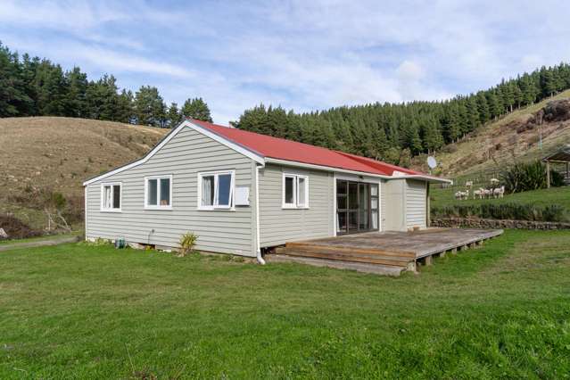 579 Jacksons Line Mauriceville_4