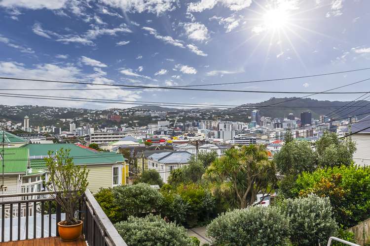 102 Ellice Street Mount Victoria_16