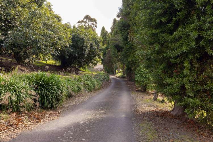 289 Pahoia Road Whakamarama_30