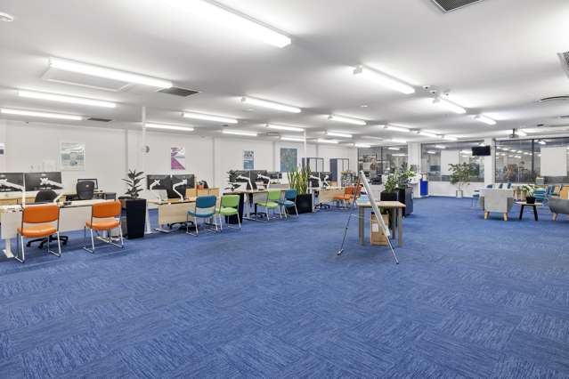 127 Hillside Road South Dunedin_3