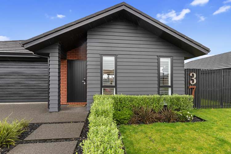 37 Lockerbie Street Morrinsville_19