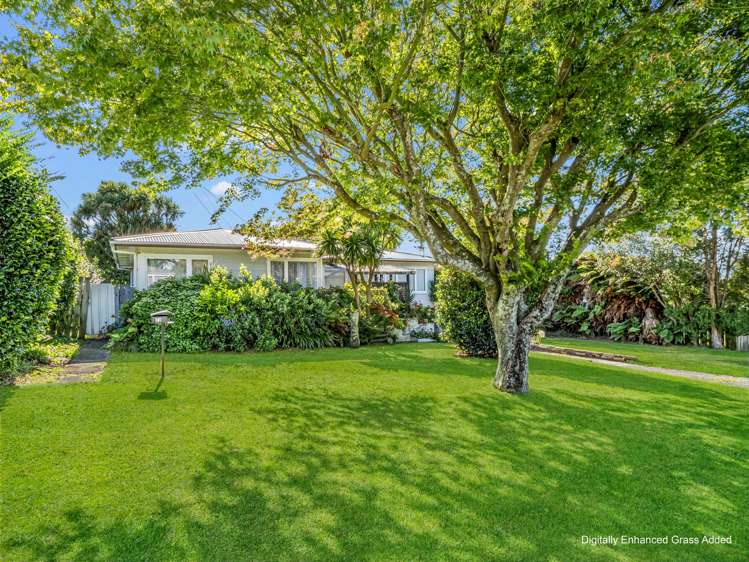 23 Upland Road Western Heights_19