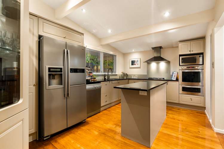 119 Captain Scott Road Glen Eden_5