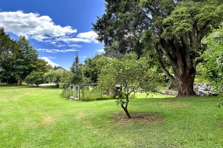 407 Hamama Road Takaka_19