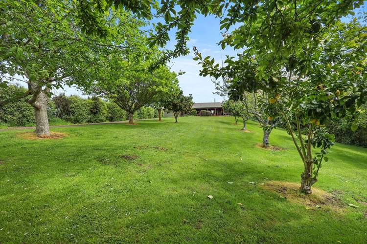 103 Fergusson Gully Road Karapiro_33