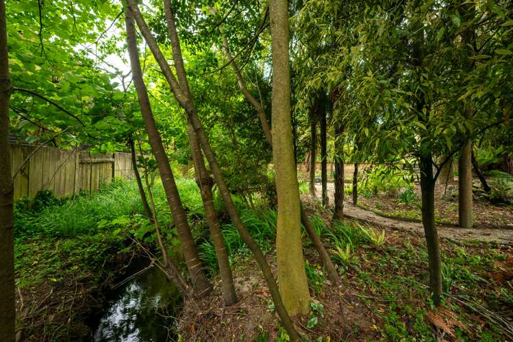 51b Iles Road Lynmore_25