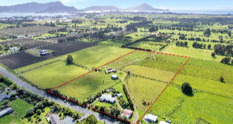 725 One Tree Point Road_0