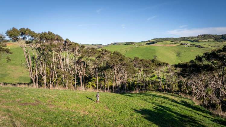 Lot 380 Rangitahi Peninsula Raglan_15