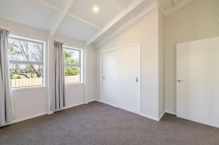 7 Fagan Street Bulls_12