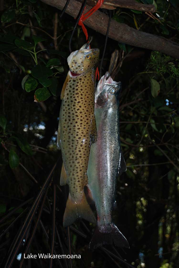 82 Onepoto Road Tuai/Ohuka_25