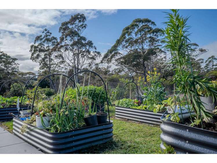 43a Amuri Road Kerikeri_16