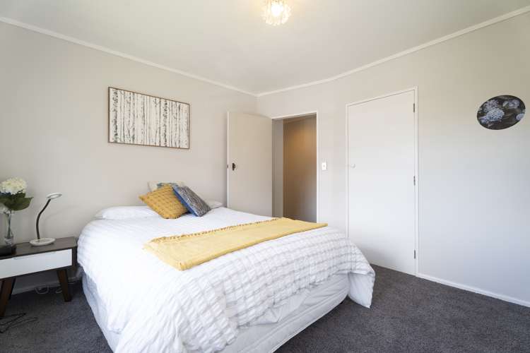 65 Churton Drive Churton Park_10