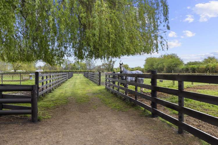 197 Peake Road Cambridge_8