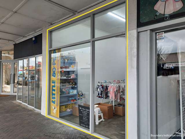 194 Alexandra Street Te Awamutu_2