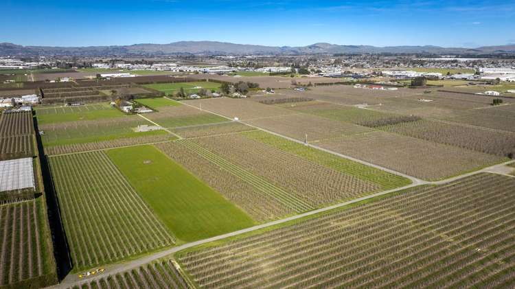 Kiwi Crunch Orchard Portfolio Twyford_7
