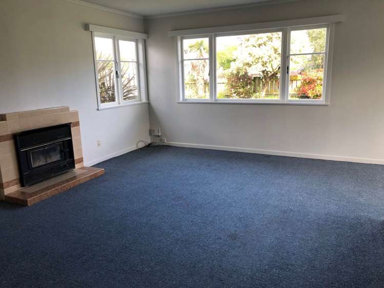 21 Christmas Road Manurewa_9