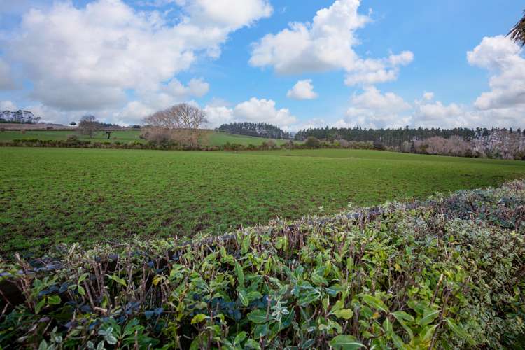 5c Armitage Place Tuakau_13