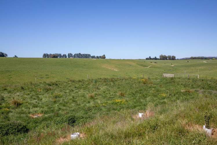 270 Downs Road Cheviot_25