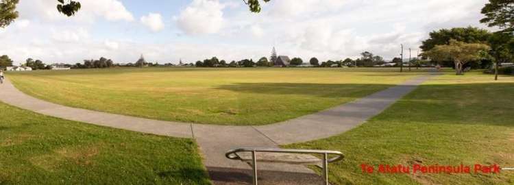 8 Renata Crescent Te Atatu Peninsula_13