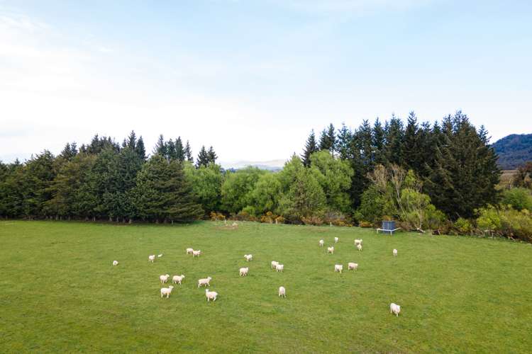 Boyds Road Mount Somers_6