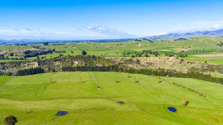 1139 Blackburn Road Ongaonga_21