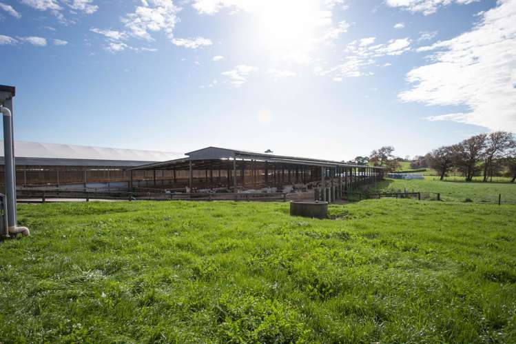 19/198 Hangawera Road Morrinsville_11