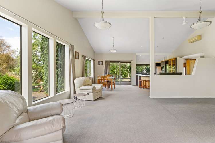 48 Pond Road Raglan_16