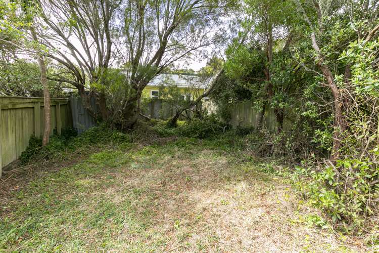 265 Ohiro Road Brooklyn_9