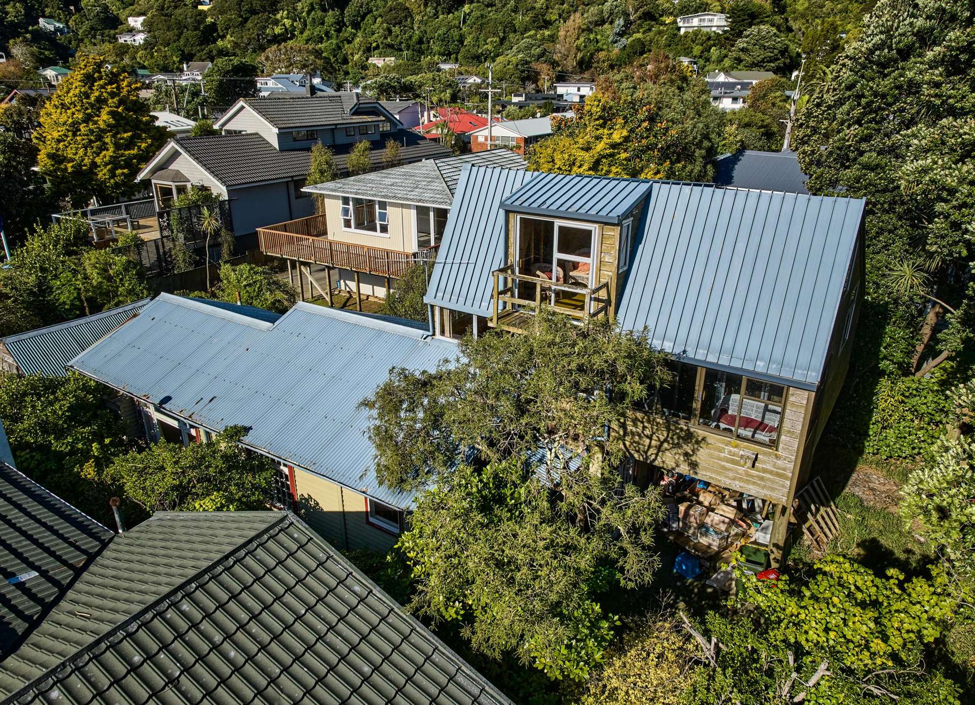 9 Nikau Street Eastbourne_0