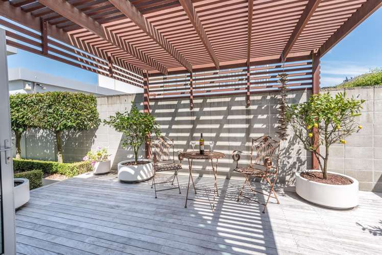41 Winchester Street Merivale_16