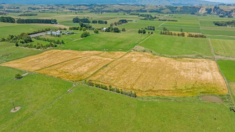 2054 Kimbolton Road Kiwitea_19