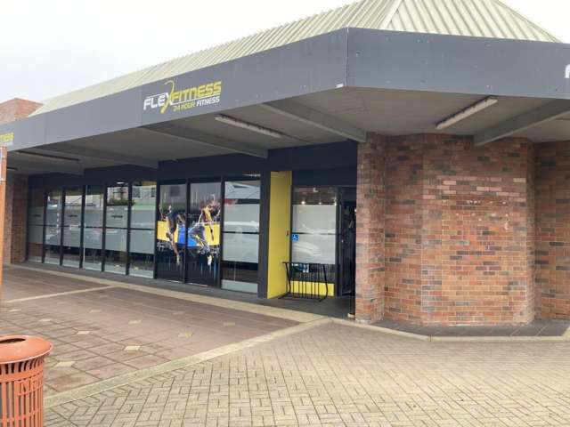 241 Thames Street Morrinsville_1