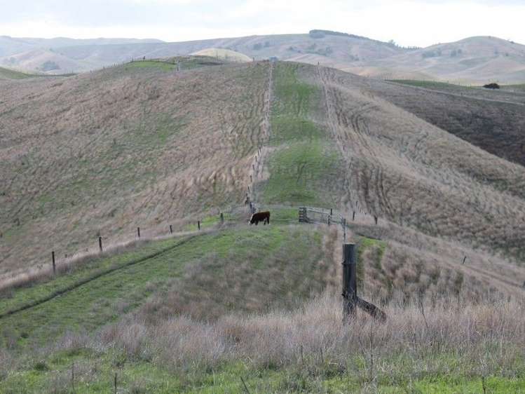 78 Bush Road Central Hawkes Bay Country_15