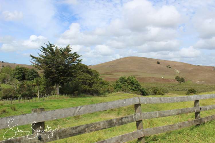 215c Heatley Road Whakapirau_7