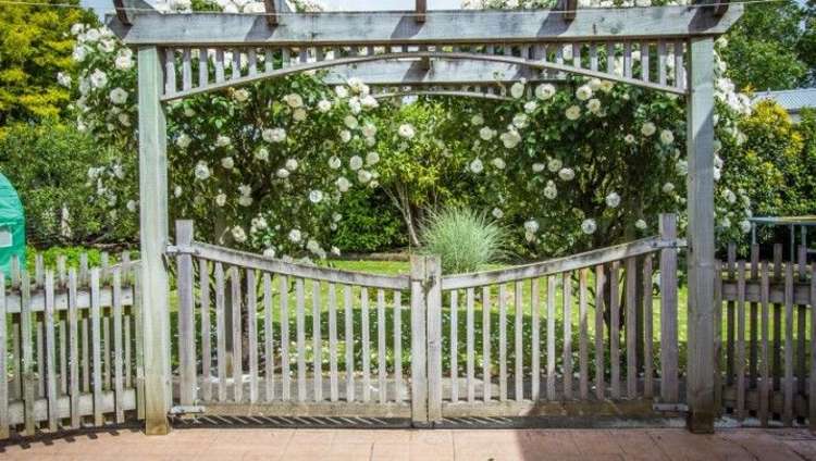 46 Pownall Street Masterton_13