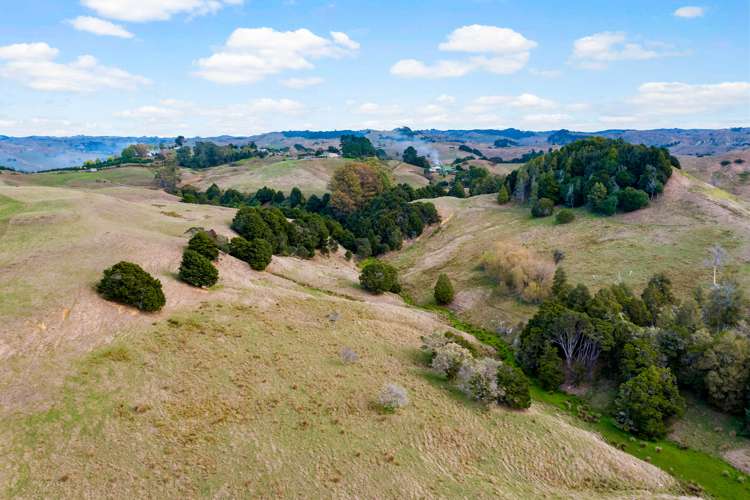 215 Allen And Eyre Road Onewhero_11