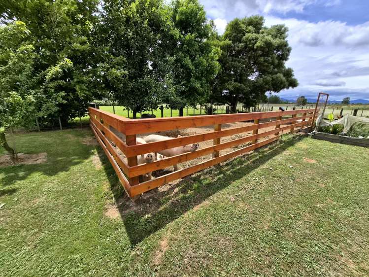 23 Kirikiri West Road Kopu_24