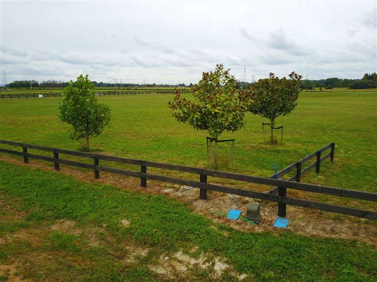 8 Margot Lane Matangi_10