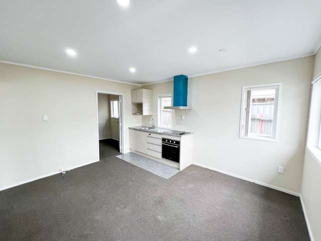 164 Edmonton Road Te Atatu South_3