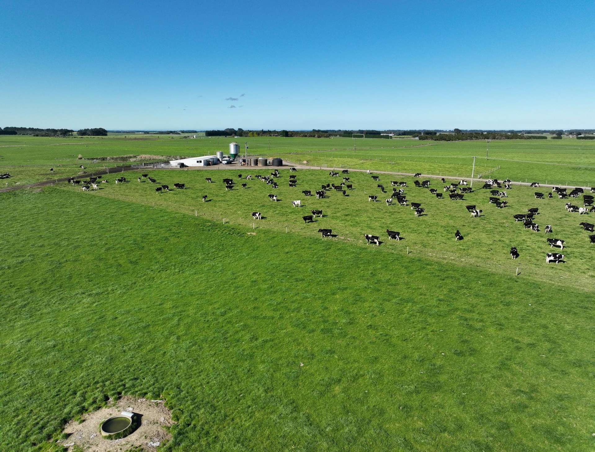 79 Tapper Road, Farm 3 Rimu_0