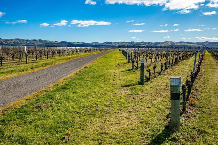 787 Seaview Road Seddon_9