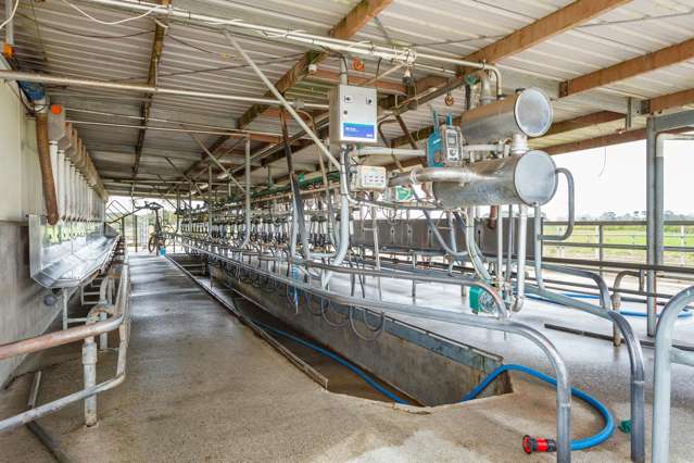 128 Rapurapu Road, Te Poi Matamata_4