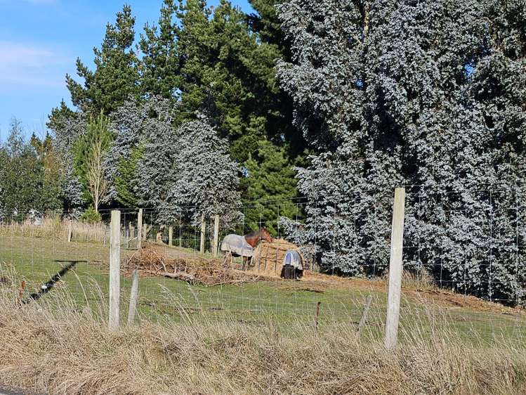 153 Romahapa Road Romahapa_19