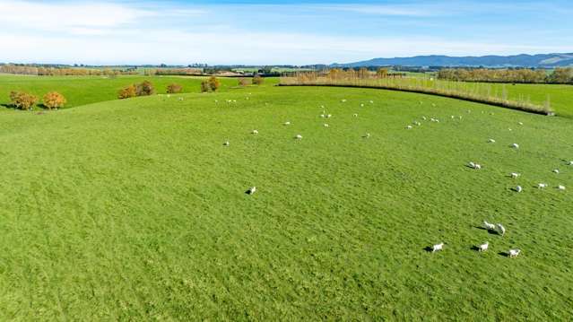 305C Waimumu Road Waimumu_1