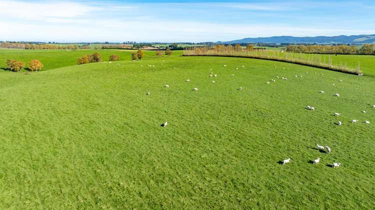 305C Waimumu Road Waimumu_1