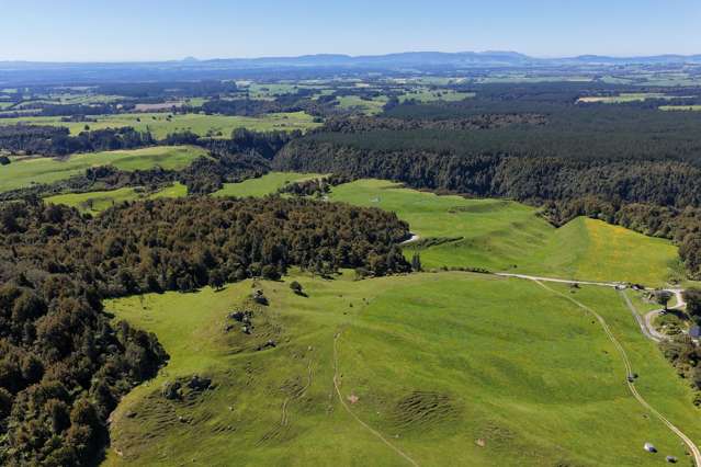 869 and 668 Mangatoi Road Oropi_4