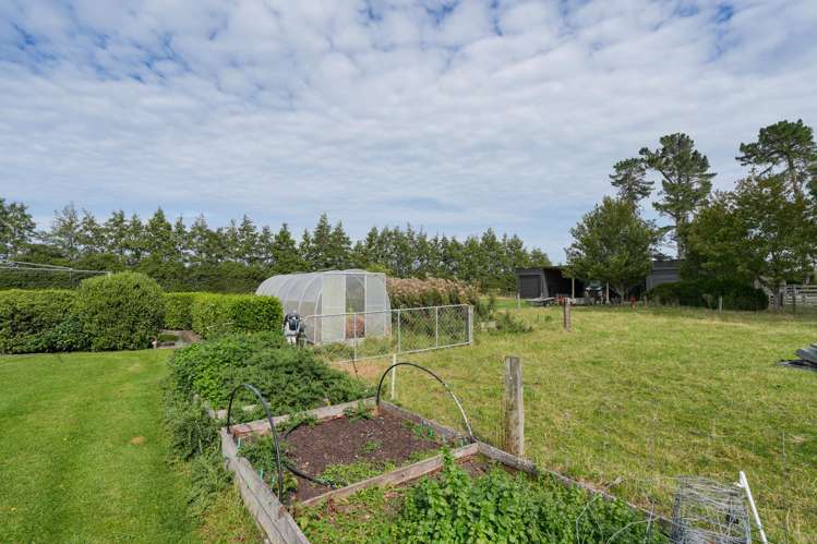 232 Crow Road Thomsons Crossing_21