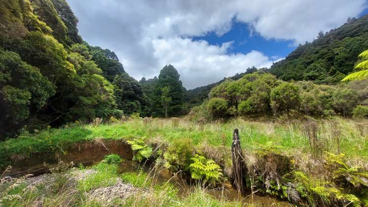 114 Hay Road Hukerenui and Surrounds_32