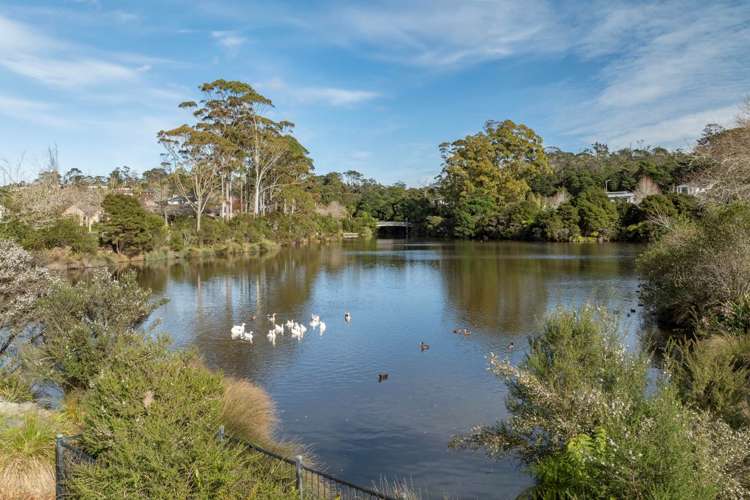 40 Lake Panorama Drive Henderson_19