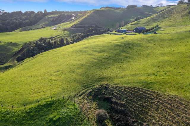 378 Hursthouse Road Tarurutangi_1